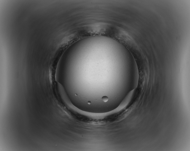 X0000087310416200704201213