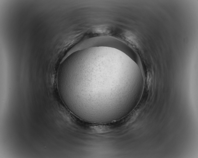 X0000087310417200704201213