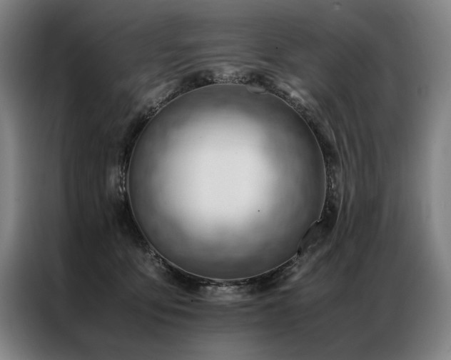 X0000087310419200704201213