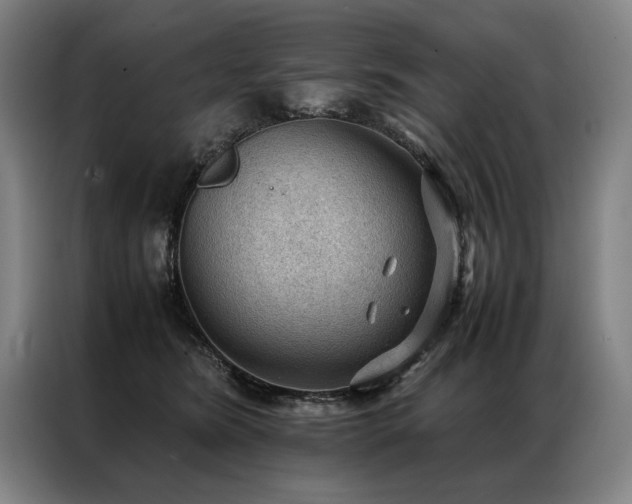 X0000087310420200704201213