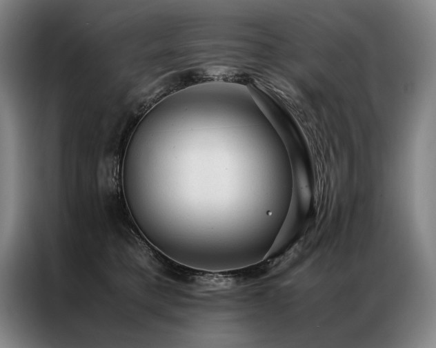 X0000087310421200704201213
