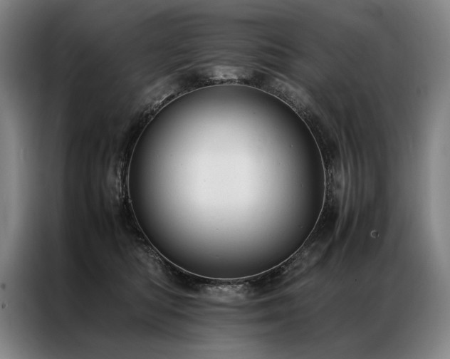 X0000087310422200704201213