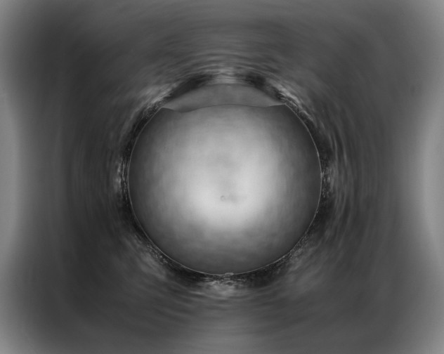 X0000087310423200704201213