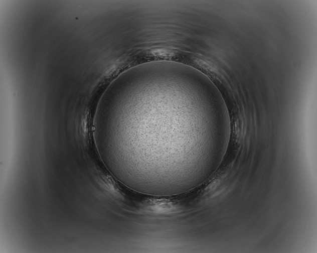 X0000087310424200704201213