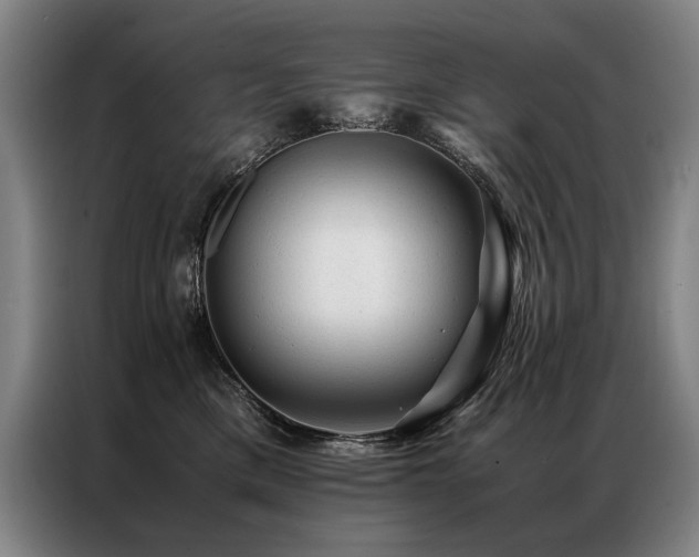 X0000087310425200704201213
