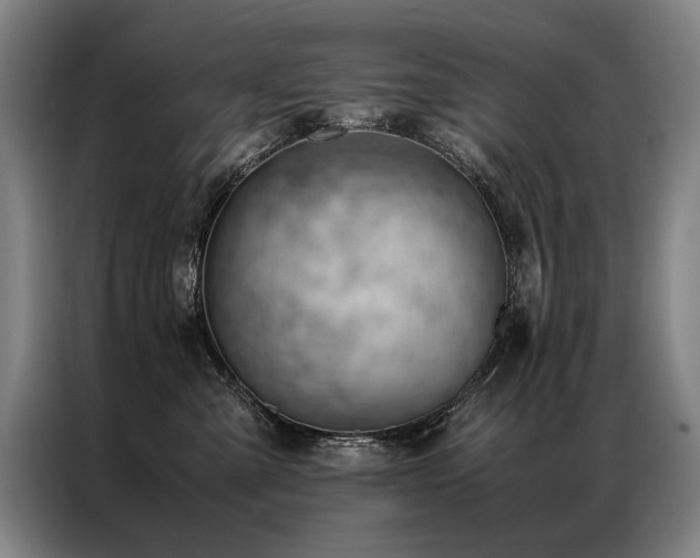 X0000087310427200704201213