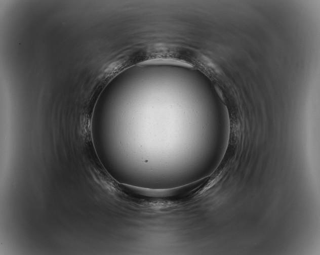 X0000087310429200704201213