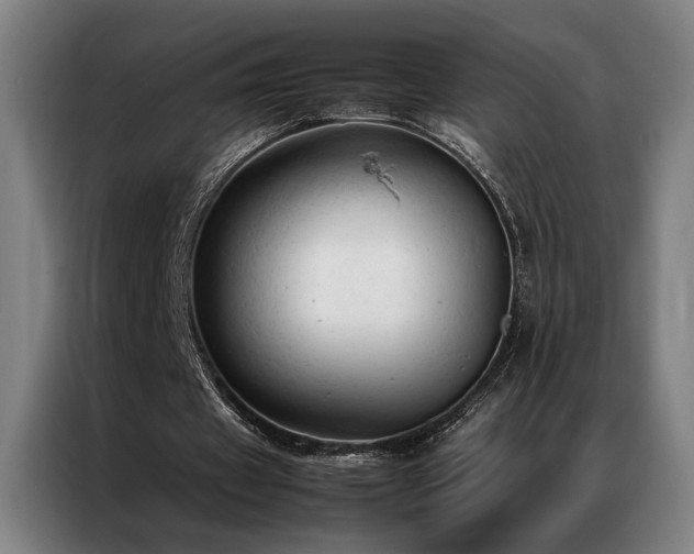 X0000087310433200704201213