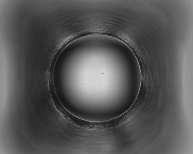 X0000087310434200704201213