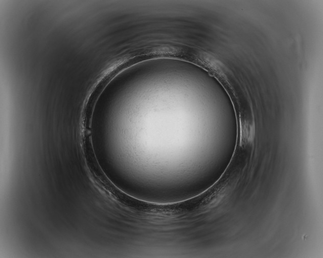 X0000087310435200704201213