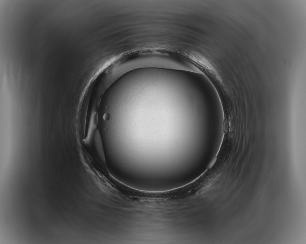 X0000087310436200704201213