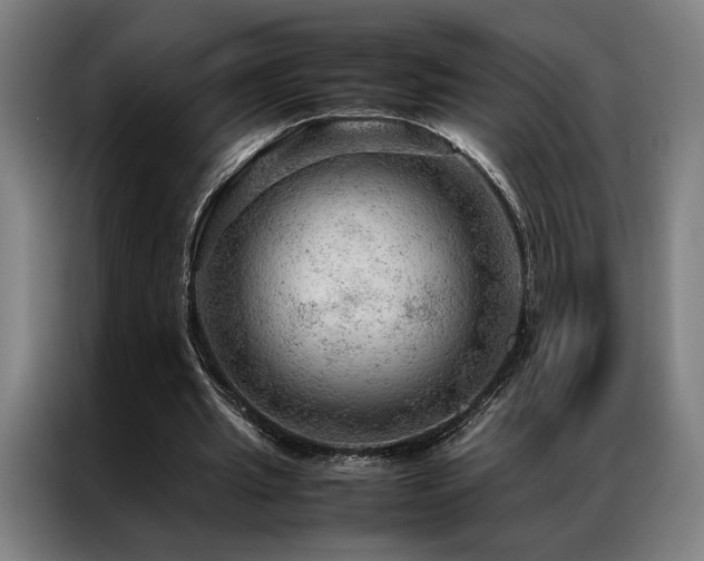 X0000087310437200704201213