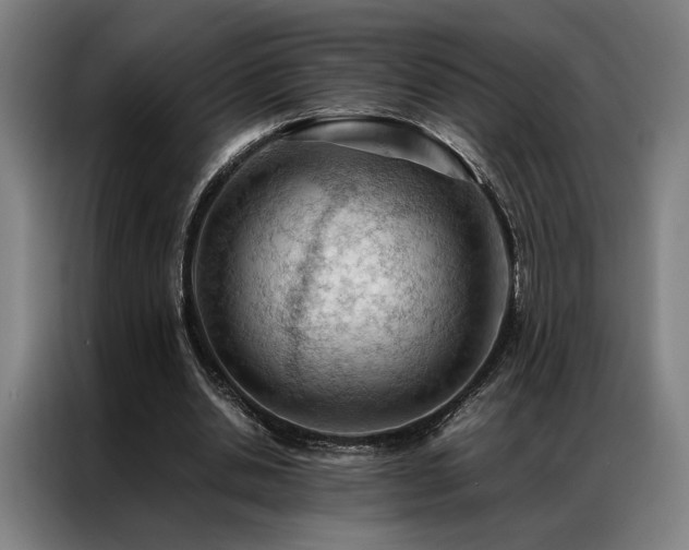 X0000087310438200704201213
