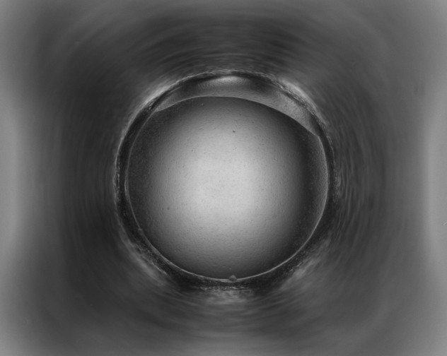 X0000087310439200704201213