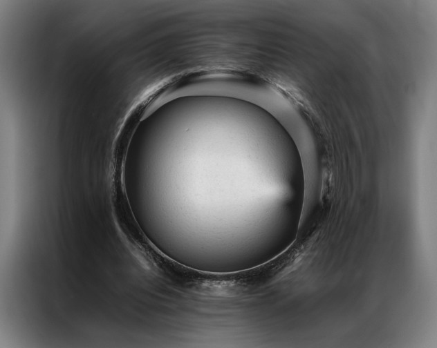 X0000087310440200704201213