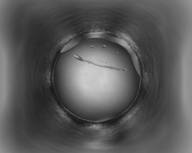X0000087310441200704201213
