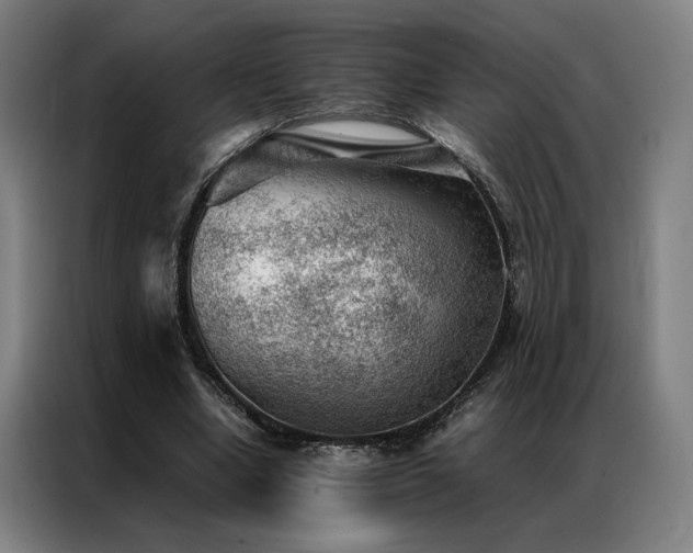 X0000087310442200704201213