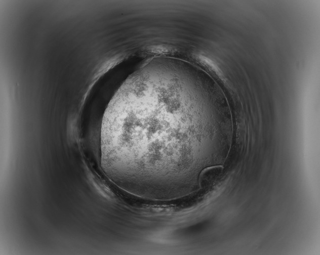 X0000087310443200704201213