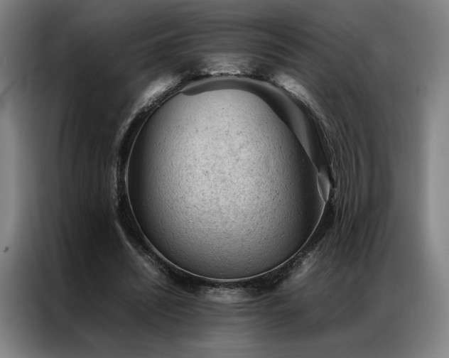 X0000087310444200704201213