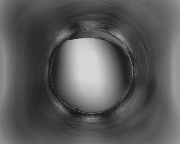 X0000087310445200704201213