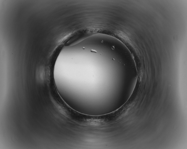 X0000087310448200704201213