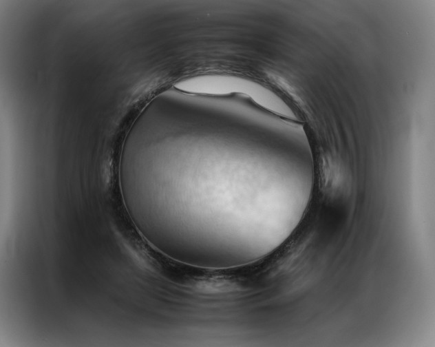 X0000087310451200704201213