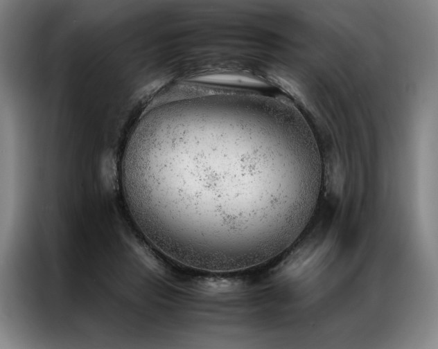 X0000087310453200704201213