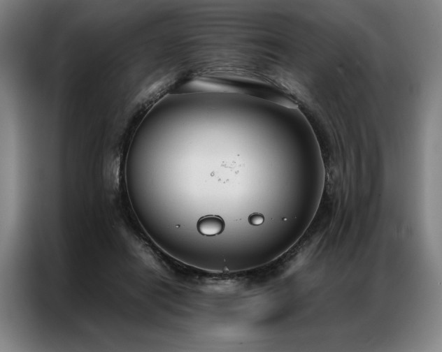 X0000087310454200704201213