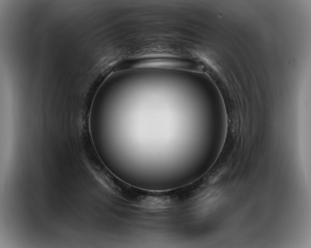 X0000087310455200704201213