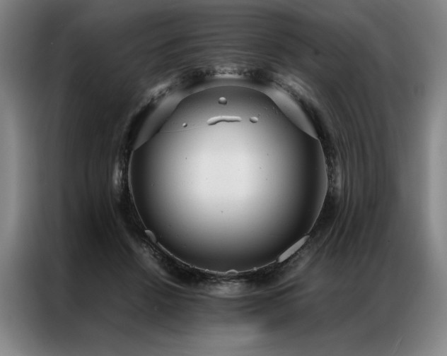 X0000087310456200704201213