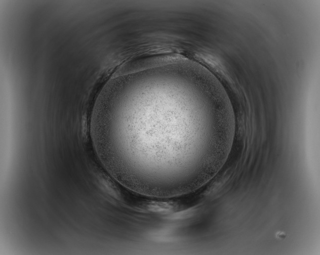 X0000087310457200704201213