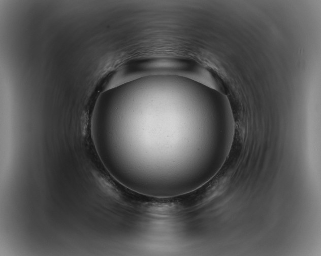 X0000087310458200704201213