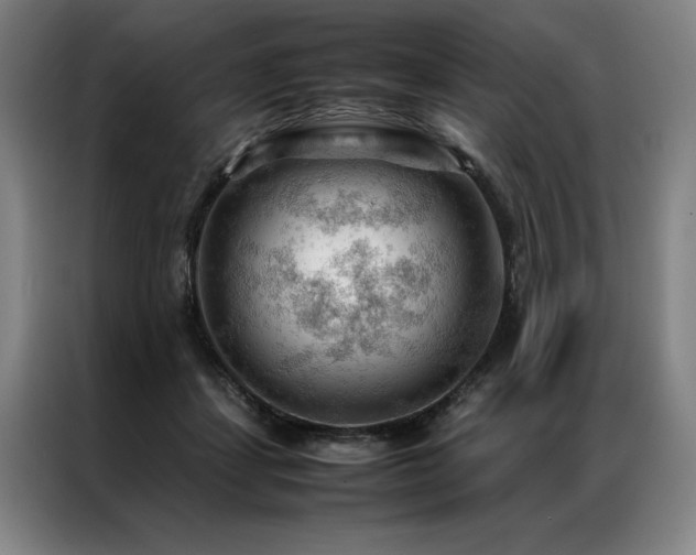 X0000087310459200704201213