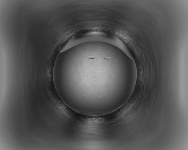 X0000087310461200704201213
