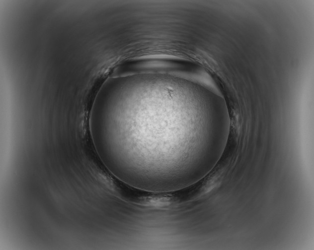 X0000087310462200704201213