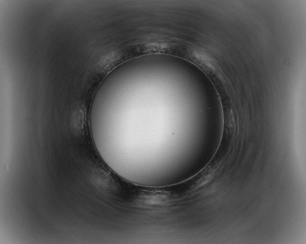 X0000087310463200704201213