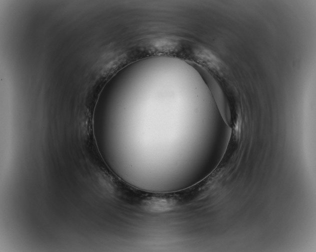 X0000087310464200704201213