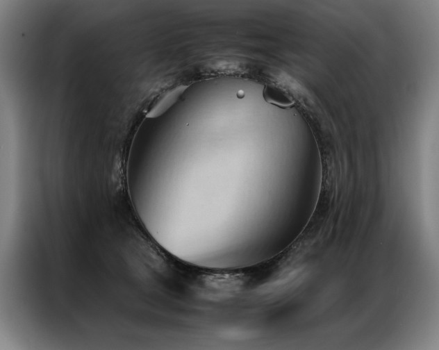 X0000087310465200704201213