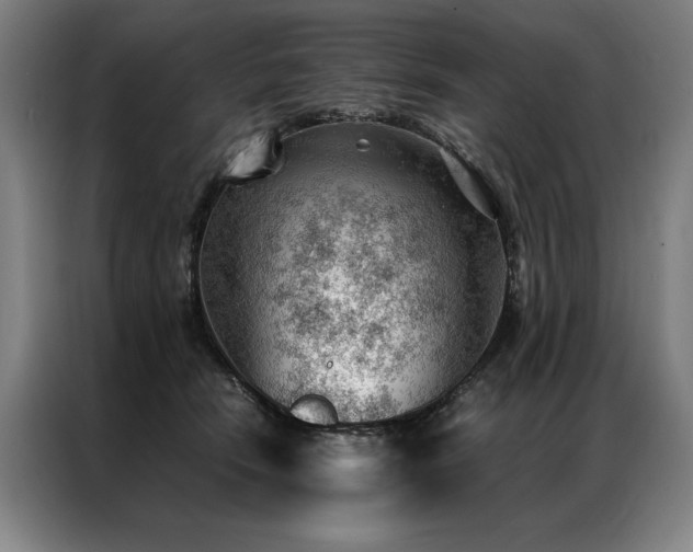 X0000087310466200704201213