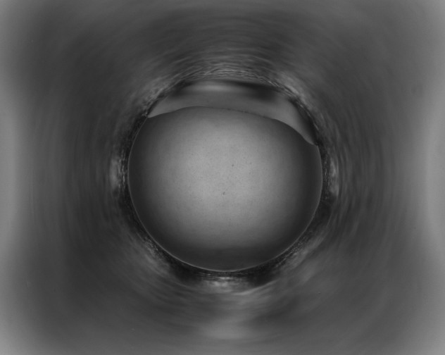 X0000087310467200704201213