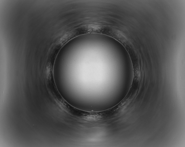 X0000087310468200704201213