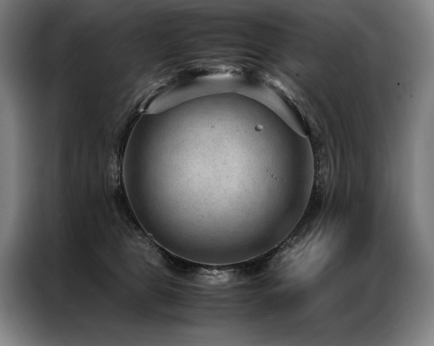X0000087310469200704201213
