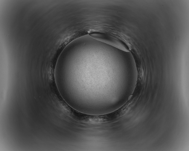 X0000087310470200704201213