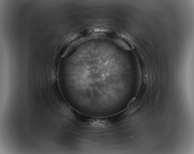 X0000087310471200704201213