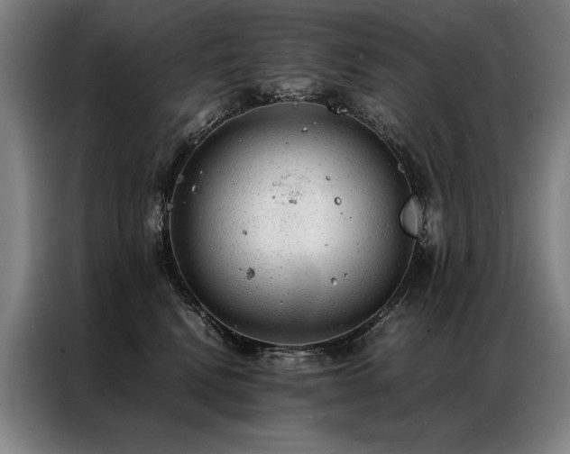 X0000087310472200704201213
