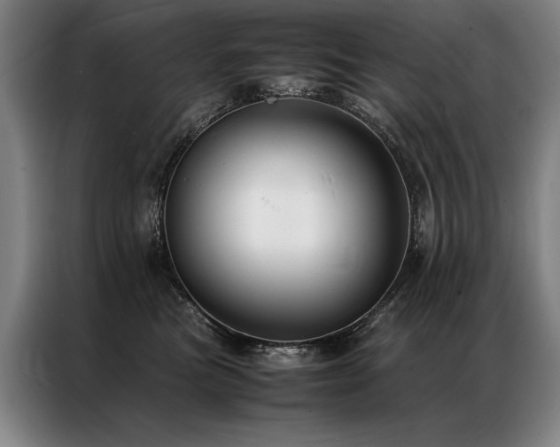 X0000087310473200704201213