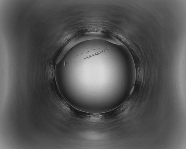 X0000087310474200704201213