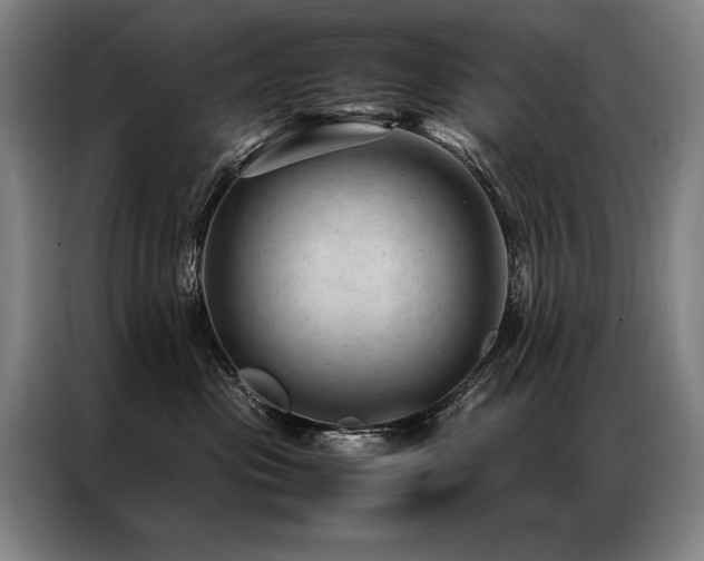 X0000087310477200704201213