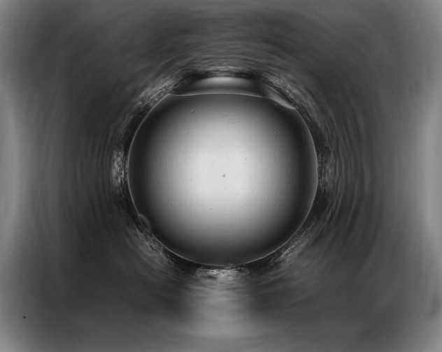 X0000087310478200704201213