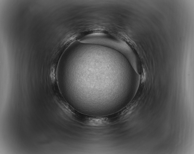 X0000087310479200704201213